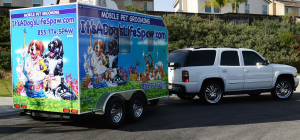 Our mobile pet spa